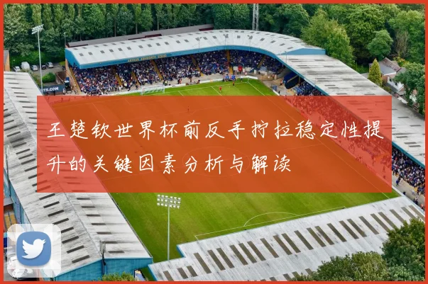 王楚钦世界杯前反手拧拉稳定性提升的关键因素分析与解读