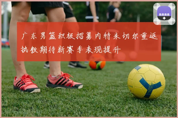 广东男篮积极招募内特米切尔重返执教期待新赛季表现提升